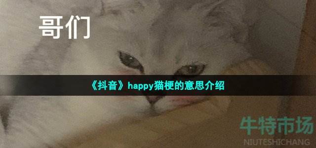 抖音happy猫是什么梗-happyhappyhappy猫梗的意思介绍